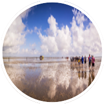 Ferienwohnungen Bensersiel